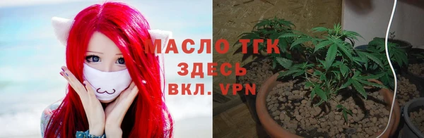 гидра Нея