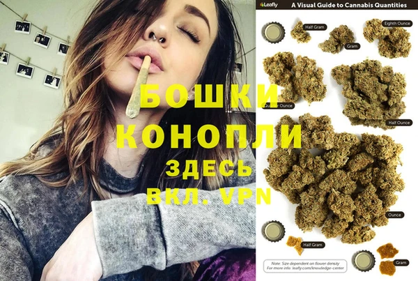 гидра Нея