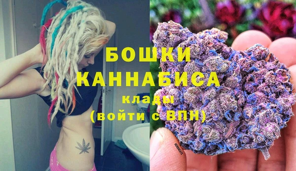 гидра Нея