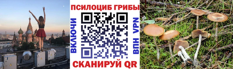 Галлюциногенные грибы прущие грибы наркошоп Белоозёрский