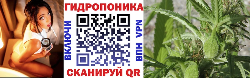 Конопля Amnesia Белоозёрский